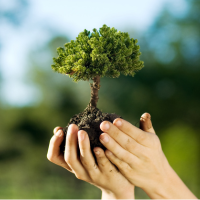 Environmental Stewardship Campaigns