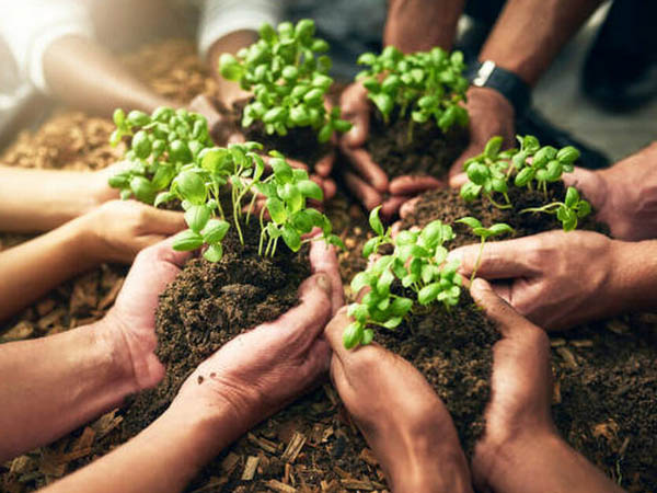 Nature_Sustainability Nature & Sustainability